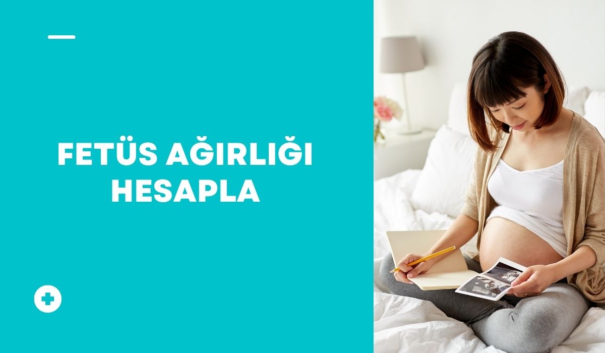 Fetüs Ağırlığı Hesapla