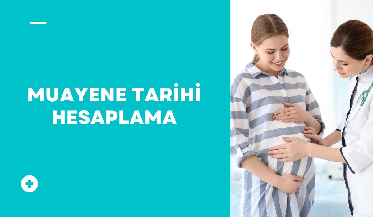 Muayene Tarihi Hesapla