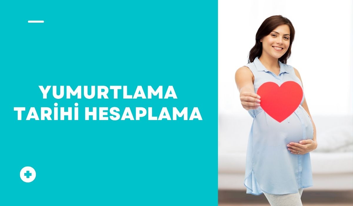 Yumurtlama Tarihi Hesaplama